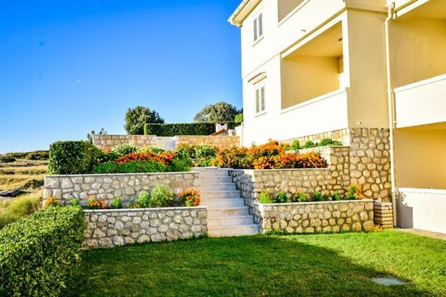 פג Apartments Basaca מראה חיצוני תמונה