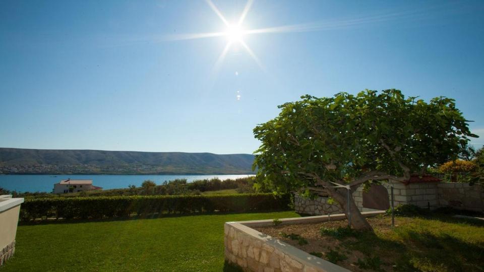 פג Apartments Basaca מראה חיצוני תמונה